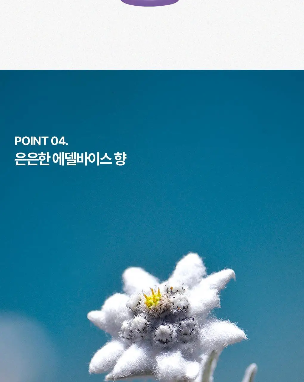 [SOS 8일 집중케어] 유리아쥬 진-8 100ml 상세페이지 14